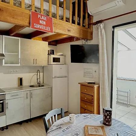 T2 Climatise Avec Mezzanine, Loggia Et Acces Direct A La - Fr-1-529-26