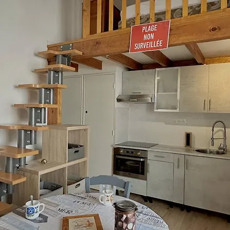 T2 Climatise Avec Mezzanine, Loggia Et Acces Direct A La - Fr-1-529-26 Apartmán
